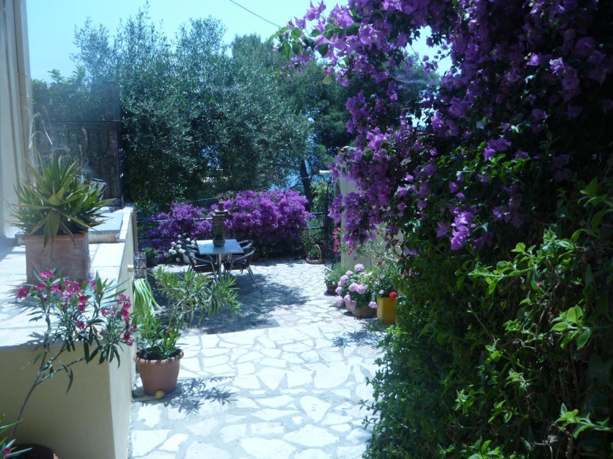 Butterfly Barbati Apartments Dış mekan fotoğraf