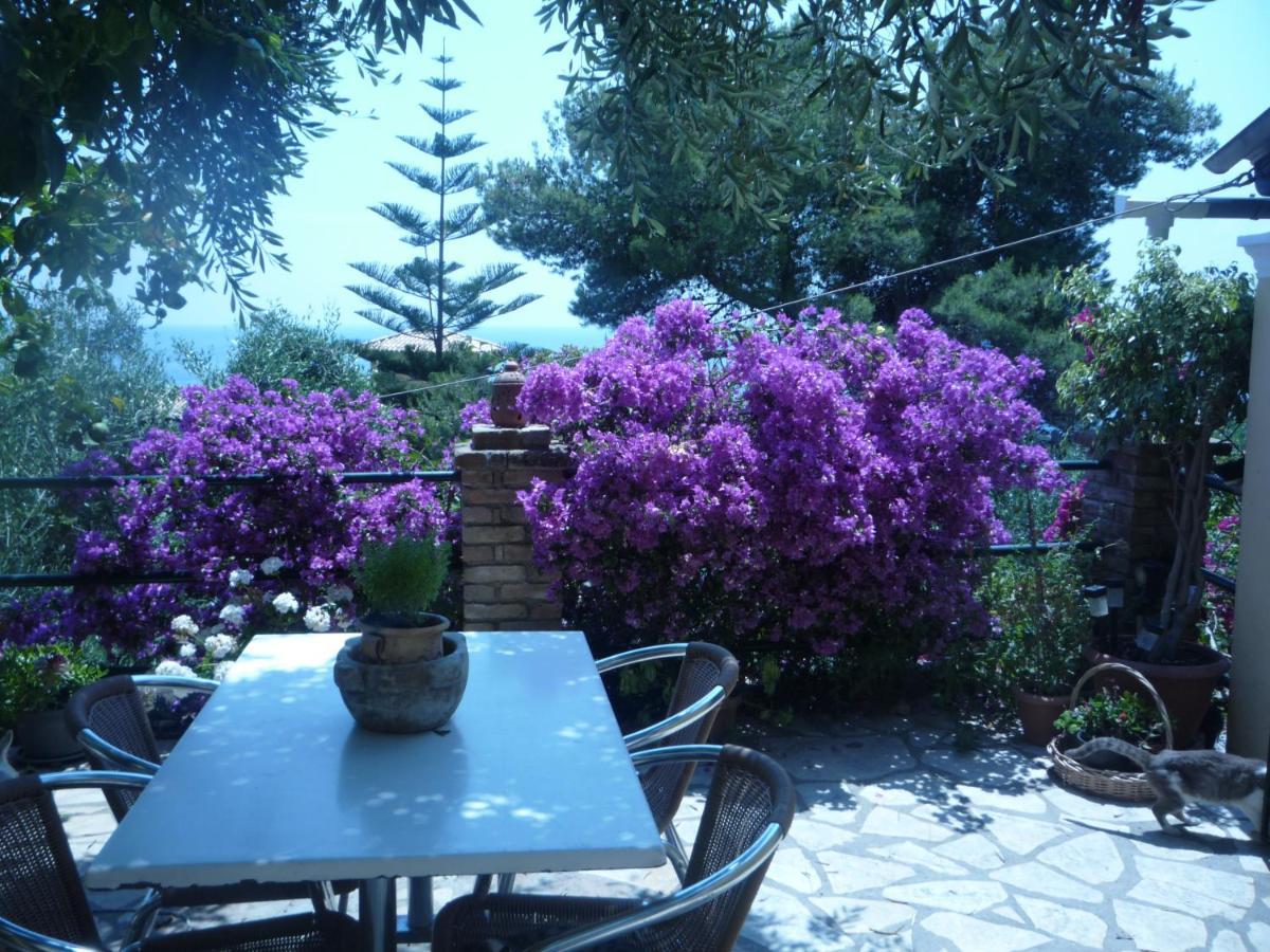 Butterfly Barbati Apartments Dış mekan fotoğraf